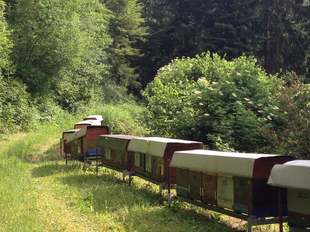 Agriturismo Maso Grener Villa Lavis Kültér fotó